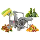 Naranja manzana zanahoria patata tomate eficiente limpieza precio Máquina automática de verduras y frutas burbuja lavadora para limón - Máquina de limpieza - foodmachtech