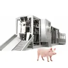 Máquina de anestesia eléctrica de tres puntos para el sacrificio de cerdos - Dispositivo eléctrico de aturdimiento - foodmachtech