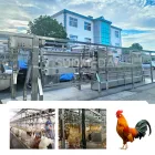 QGT-1000の家禽のデフェザリング機械は家禽の食肉処理場のために適しています - 家禽の脱フェザリングマシン - foodmachtech