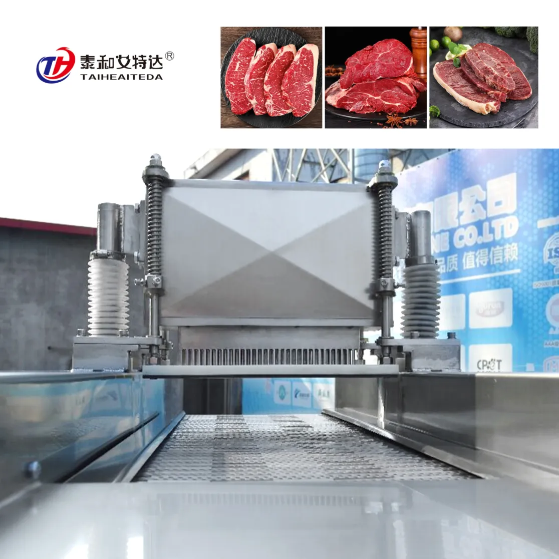Macchina automatica per la lavorazione dei prodotti alimentari - Tenderizzatore per carne - foodmachtech