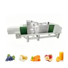Prensa de tornillo comercial de acero inoxidable bjbj-500 - Prensa de uva - foodmachtech