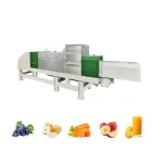 Prensa de tornillo comercial de acero inoxidable bjbj-500 - Prensa de uva - foodmachtech