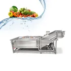 ステンレス钢商业フルーツ洗濯机 - コンベヤーベルト - foodmachtech