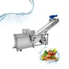 ステンレス钢商业フルーツ洗濯机 - コンベヤーベルト - foodmachtech