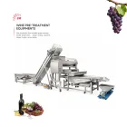 Equipo comercial del tratamiento previo del vino del acero inoxidable - Prensa de uva - foodmachtech