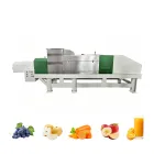 Prensa de tornillo comercial de acero inoxidable bjbj-500 - Prensa de uva - foodmachtech