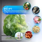 Inverter Refrigerador de una puerta - Almacenamiento en frío de frutas y verduras - foodmachtech