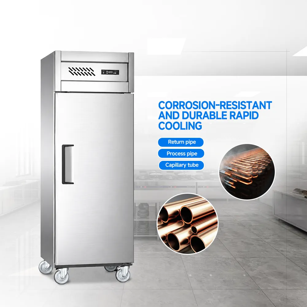 Inverter Refrigerador de una puerta - Almacenamiento en frío de frutas y verduras - foodmachtech