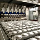 Linea di produzione fritta della tagliatella istantanea dell'acciaio inossidabile 304, attrezzatura commerciale continua di elaborazione della tagliatella - Linea di produzione della tagliatella istantanea - foodmachtech