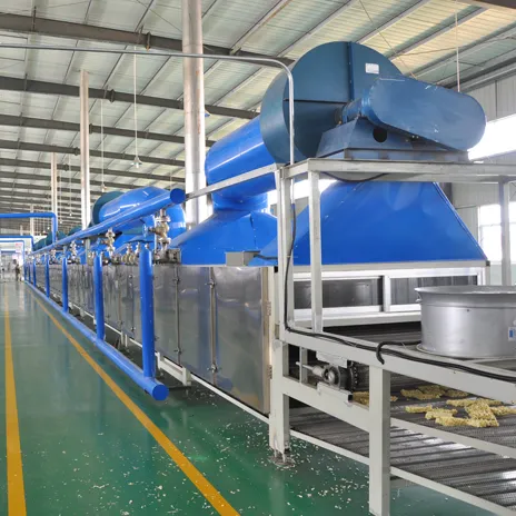 Cadena de producción frita adaptable de los tallarines inmediatos | 304 acero inoxidable, opciones múltiples de la capacidad - Línea de producción de fideos instantáneos - foodmachtech