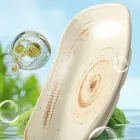 ‌Élégante assiette de service en forme de bateau - Vaisselle - foodmachtech
