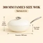 Kiesel-Mikrodruck-Wok -  - Food Mach Tech