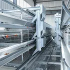 Gabbia a batteria per polli, - Sistema di allevamento di pollame - foodmachtech