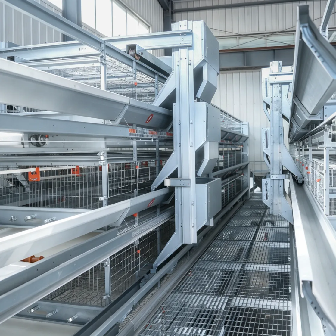 Gabbia a batteria per polli, - Sistema di allevamento di pollame - foodmachtech