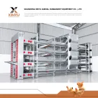 Nuova attrezzatura per l'allevamento di pollame completamente automatica a strati del sistema di raccolta delle uova di pollo Gabbia per galline con acciaio zincato in vendita - Sistema agricolo a strati - foodmachtech