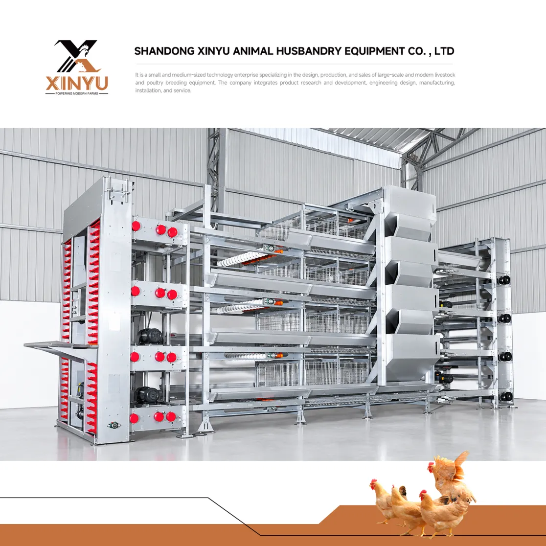 Nuova attrezzatura per l'allevamento di pollame completamente automatica a strati del sistema di raccolta delle uova di pollo Gabbia per galline con acciaio zincato in vendita - Sistema agricolo a strati - foodmachtech