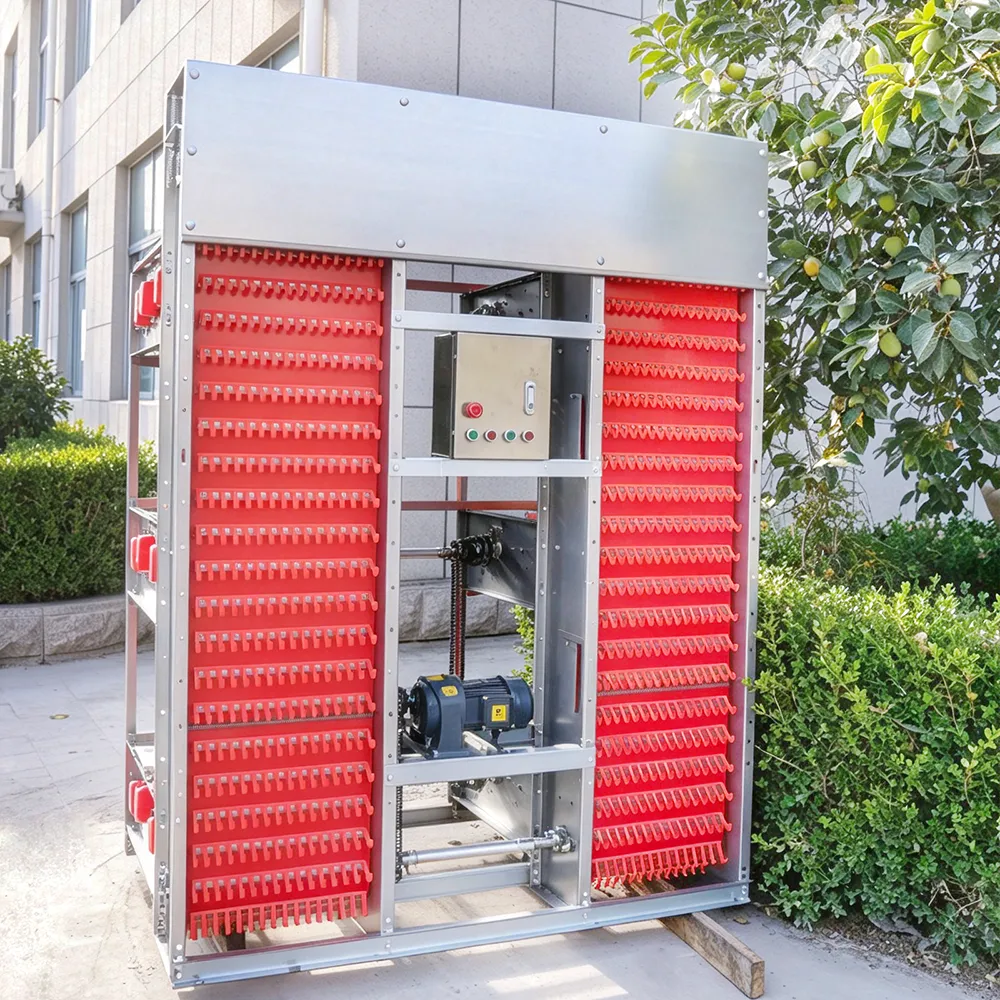 Equipmen per l'allevamento di pollame completamente automatico - Sistema agricolo a strati - foodmachtech