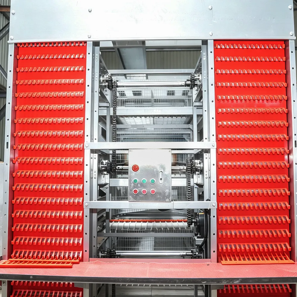 Sistema di allevamento in acciaio zincato a gabbia automatica a strati tipo H su larga scala - Sistema agricolo a strati - foodmachtech