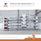 Sistema di allevamento in acciaio zincato a gabbia automatica a strati tipo H su larga scala - Sistema agricolo a strati - foodmachtech