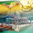 Automatische Erdnuss-Sojaöl-Schraube kalt gepresste Ölpresse, die Maschine für kleine Unternehmen herstellt - Schrauben ölpresse - foodmachtech