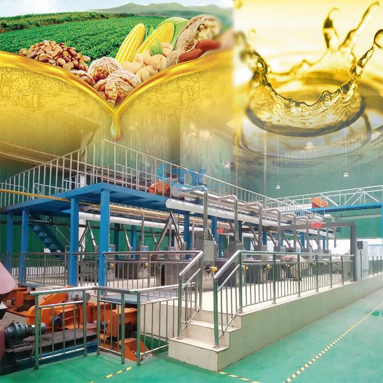 Automatische Erdnuss-Sojaöl-Schraube kalt gepresste Ölpresse, die Maschine für kleine Unternehmen herstellt - Schrauben ölpresse - foodmachtech
