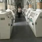 クスクスの生产ライン - 研削ミル - foodmachtech
