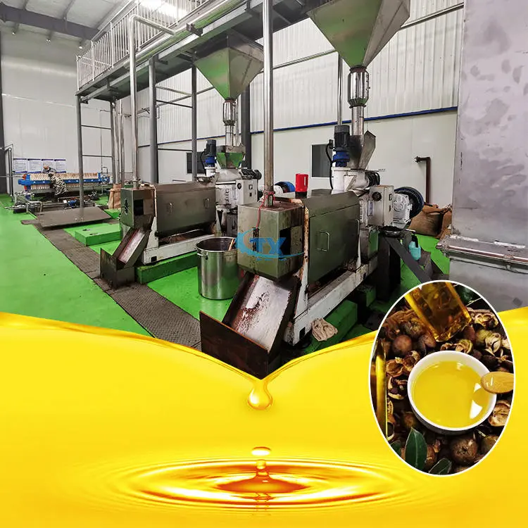 Olio di colza di semi di tè che spremette la raffinazione Deodorante macchina per la raffineria di olio da cucina - Attrezzature per la raffinazione - foodmachtech