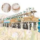 ピーリングプラント米製粉機50TPD高品質最新の完全自動水田ミル - 米フライスマシン - foodmachtech
