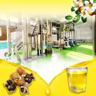 Olio di colza di semi di tè che spremette la raffinazione Deodorante macchina per la raffineria di olio da cucina - Attrezzature per la raffinazione - foodmachtech