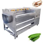 Automatische Bürste Waschmaschine für Yam Cassava Automatische Bürste Waschmaschine für Gemüse verarbeitung linie - Wasch-und Luft trocknungs system - foodmachtech