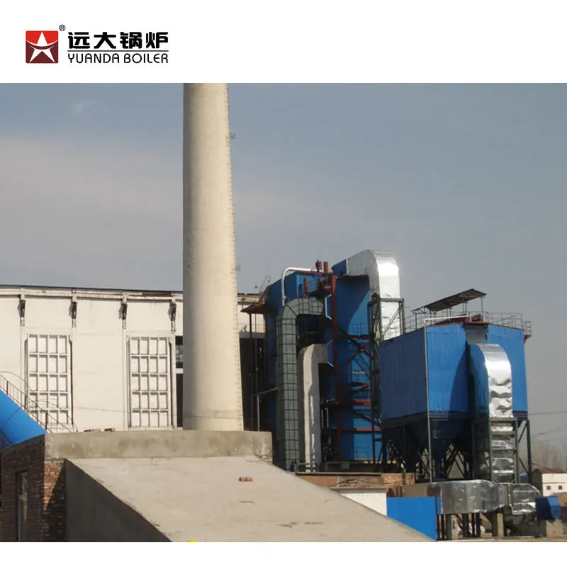 远大品牌DHL DHW 20 30 40 50 60吨过热蒸汽锅炉用于发电 - 蒸汽锅炉设备 - foodmachtech