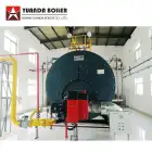 Caldera de vapor de gasoil de la serie de WNS 1-1,5 T/h - Caldera de vapor - foodmachtech