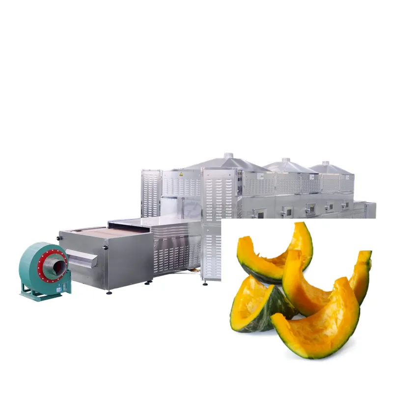 Professional Large Scale Pumpkin Puree Tomato Paste Microwave Dryer for Vegetable Puree Drying Processing Line - Dryer - foodmachtech