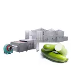Professional Industrial Yellow Squash Pattypan Squash Microwave Dryer for Summer Squash Fast Drying Processing - Dryer - foodmachtech