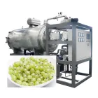 专业工业全桑全醋栗真空冷冻干燥设备,用于超级水果干燥线 - 冷冻机 - foodmachtech