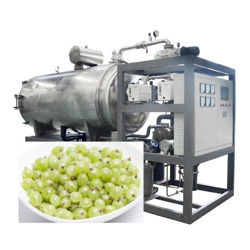 专业工业全桑全醋栗真空冷冻干燥设备,用于超级水果干燥线 - 冷冻机 - foodmachtech