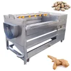 Fabrik Direkt bürste Waschmaschine für Meeres früchte Spiralwolle Ingwer Roller Reinigungs maschine Preis - Wasch-und Luft trocknungs system - foodmachtech