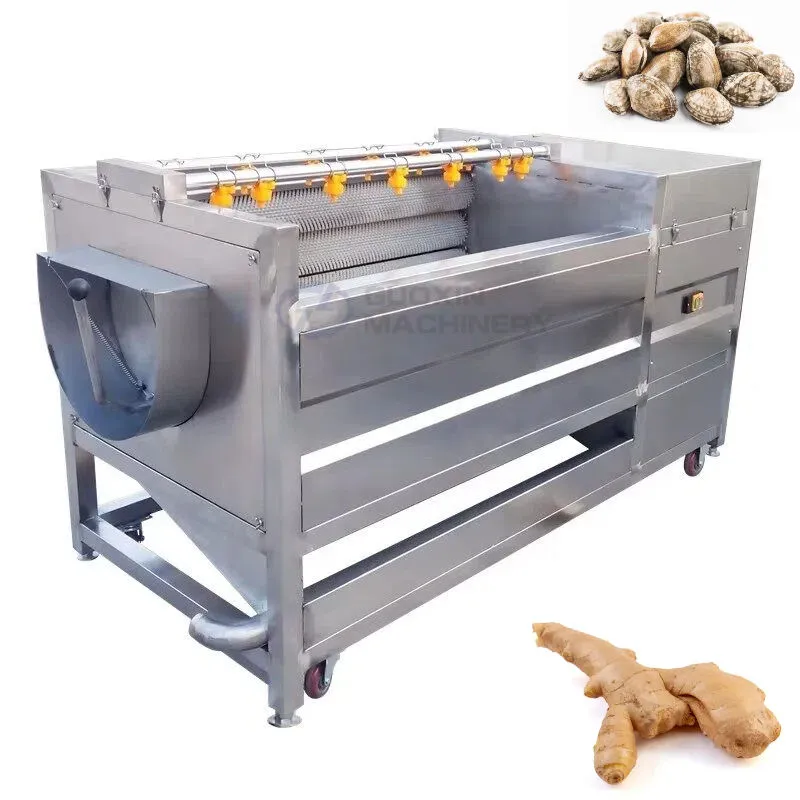 Fabrik Direkt bürste Waschmaschine für Meeres früchte Spiralwolle Ingwer Roller Reinigungs maschine Preis - Wasch-und Luft trocknungs system - foodmachtech