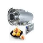 用于天然甜水果生产的全自动图全日期全冷冻干燥加工机 - 冷冻机 - foodmachtech