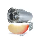 Hot Sale Large Capacity Plum Half Nectarine Slice Freeze Drying Processing Machine for Stone Fruit Snack - Industrial Freezer - foodmachtech