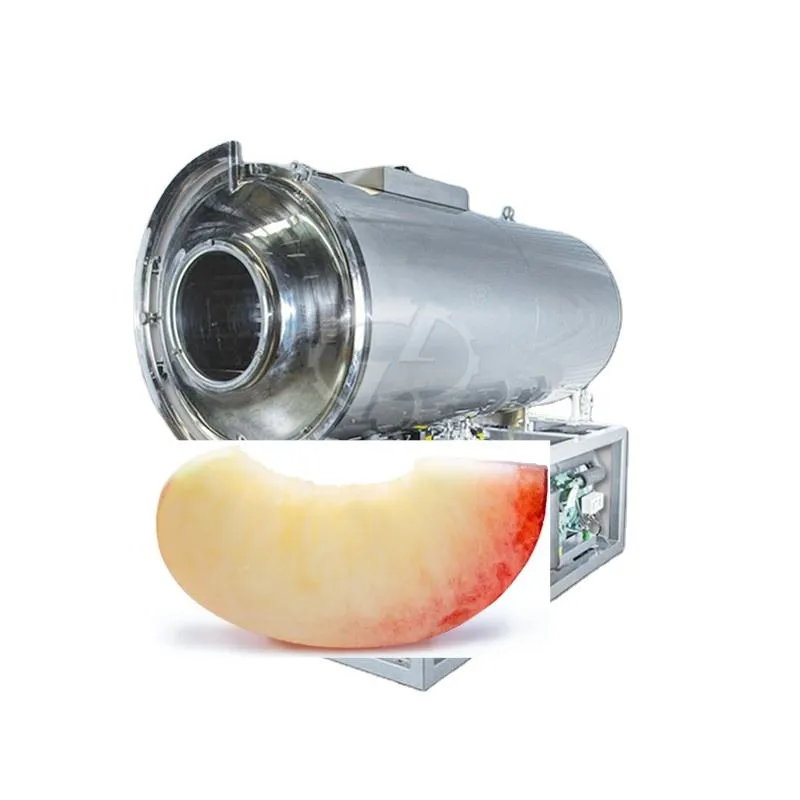 Hot Sale Large Capacity Plum Half Nectarine Slice Freeze Drying Processing Machine for Stone Fruit Snack - Industrial Freezer - foodmachtech