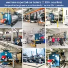 1 000 000 Kcal Natural Gas diesel lpg Heavy Oil Fired Thermal Hot Oil Boiler for Plastic Factory - Thermal Oil Boiler - foodmachtech