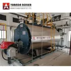 WNS1.4-0.7/95/70-Y(Q) 1400kw 1.4MW Output Temperature 95C Hot Water Boiler for 1 Hectare Heating - Hot Water Boiler - foodmachtech